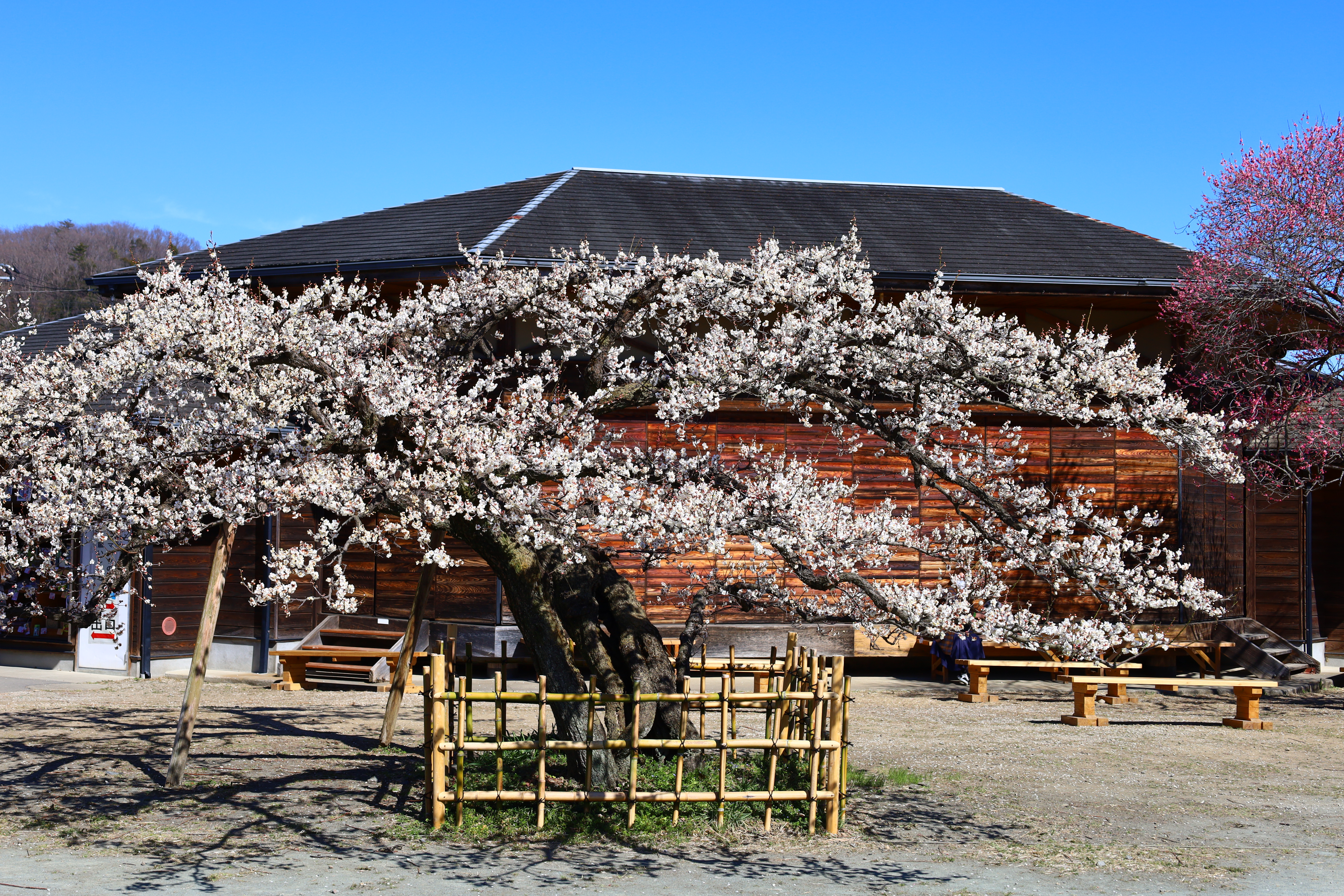 2月定例会を開催しました