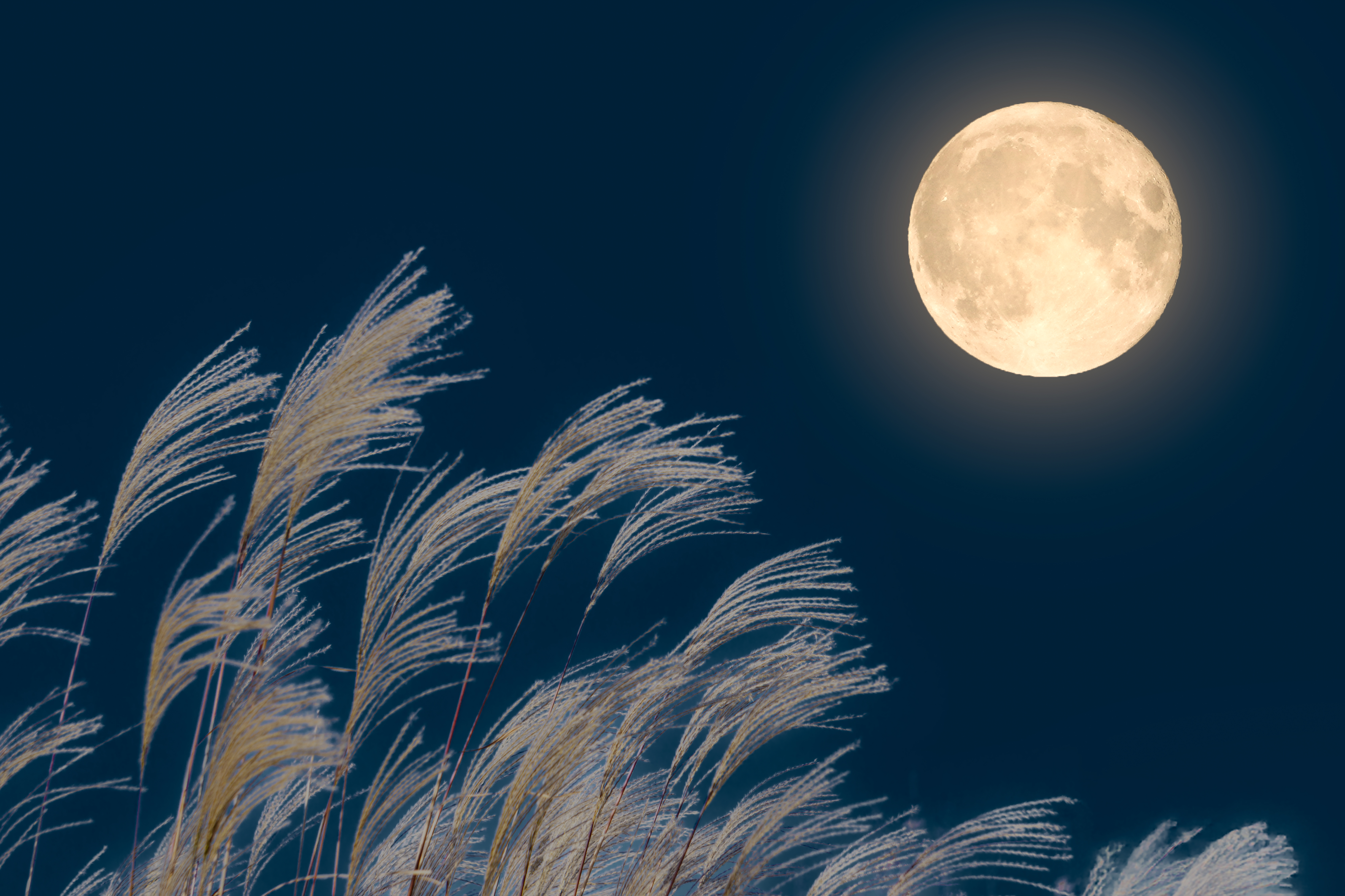 ９月定例会を開催しました