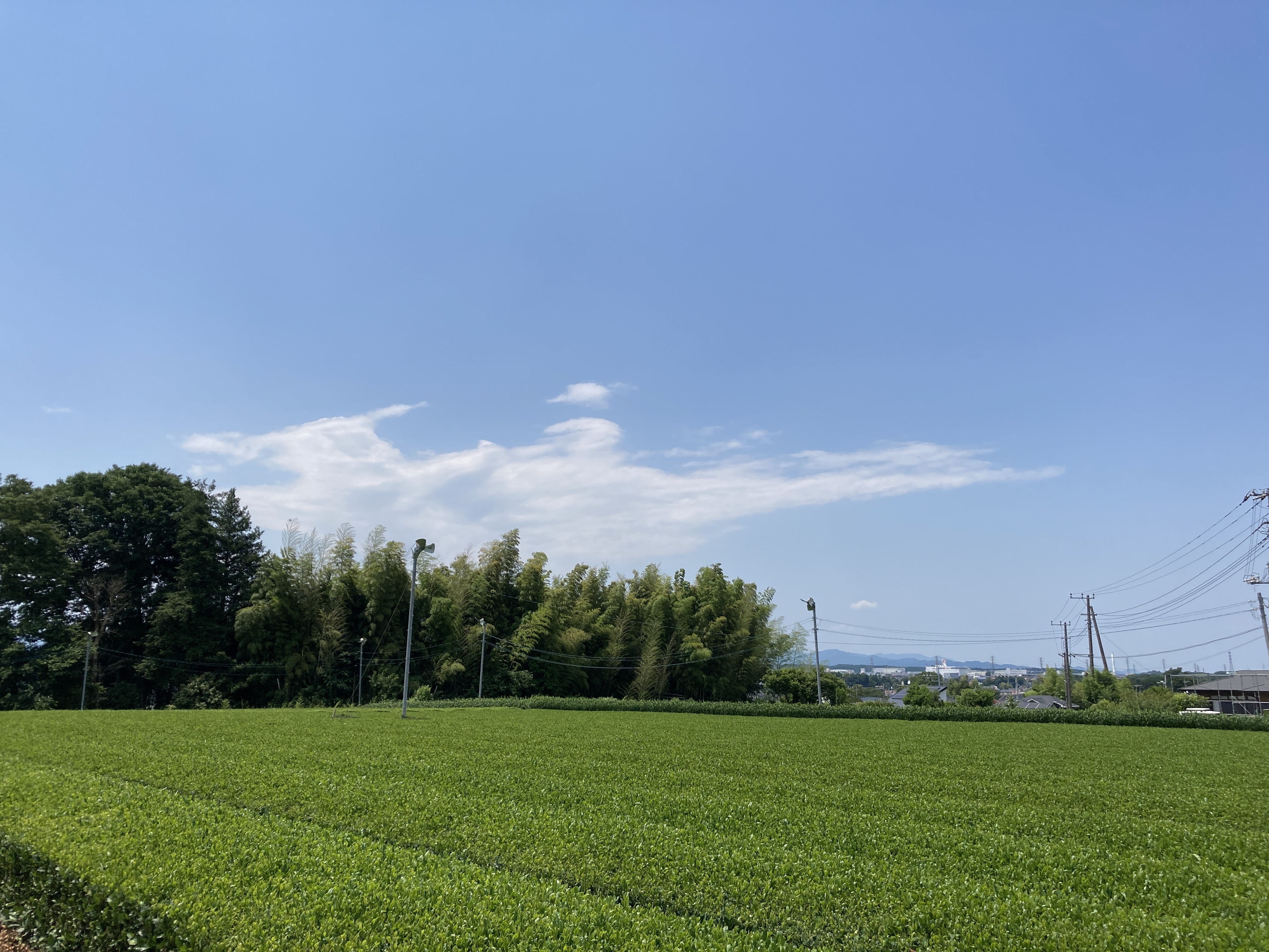 5月定例会を開催しました